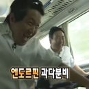 세븐일레븐 부천춘의중앙점 | [내돈내산] 춘의역 캣마트 서서울점 (feat. 고양이 용품점)