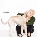 종현농장 이미지