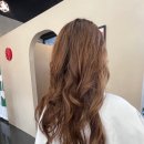 아스콧헤어 이미지