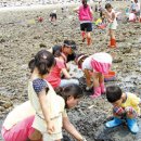 해바리민박 이미지