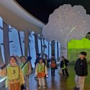 드림 태권도 이미지