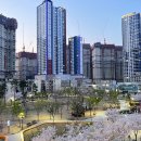 수창아파트 인근 이미지