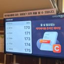 원조부안집안서점 | [부산 여행] 장녀들 관광 여행 후기 이재모피자 톤쇼우~낙곱새 대선 마무리