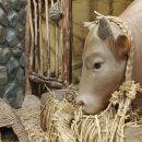 청도소싸움미디어체험관 이미지