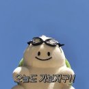 육회공 네이버블로그