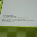 네스티스 네이버블로그