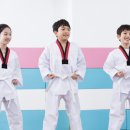강화 태권도장 이미지