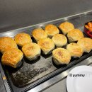 송산그린시티점(새솔동) 쿠우쿠우 후기