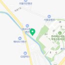 푸조와곰솔B 이미지