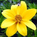 강화DC종합백화점 | 백화점 할인행사, 시즌별 이벤트, 참여 꿀팁