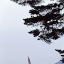 지리산IC - 1176 | 지리산IC