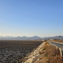 부안 줄포만 노을빛 정원 농구장 | 부안 줄포만 노을빛정원 갯벌탐방로(람사르습지)