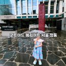 탑브로우 명동2호점 | [서울] 아이와 서울 명동 호캉스, 코트야드 메리어트 서울 명동 객실 및 주차 이용 후기