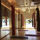 덤밸런스 요가 | 산후 다이어트 : 전문적인 스텔라 요가&amp;필라테스에서 시작해보세요!