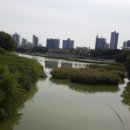 달서권투 이미지