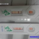 아쿠아동물병원 이미지