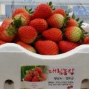 대림1농장 이미지