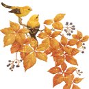 용인대학교 통일대학원 이미지