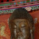 보림사 - 1223 | 보림사