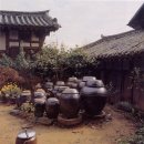 누하주 Daum카페