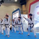 us태권도 이미지