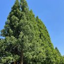 황등면-01 이미지