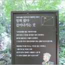 개인약수 이미지