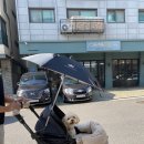 적금해리스 | 성공한 강아지가 타는 차.. 로얄테일즈 플로렌스 플러스 후기