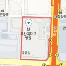 괴정학문외과의원 티스토리