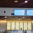 스카이항공여행사주 - 중구 국채보상로 540-1 | 스카이펫츠 | 대한항공 반려견 동반 여행 후기