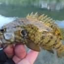 온달모텔 이미지