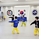 선운 태권도 네이버블로그