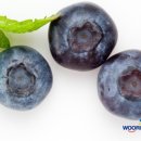 철이네푸드 이미지