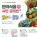 반려식물 - 문경시 당교12길 5-17 | 반려식물