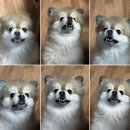 파리바게트(양주남면점) 이미지