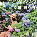 당암팜 네이버블로그