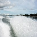 영진태권도장 이미지