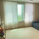 백신초등학교 후문 이미지