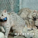 자연의 품 이미지