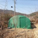 김진택농장 이미지