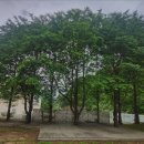 씨밀레자연관광농원 이미지