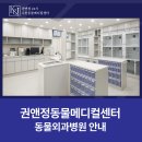 권앤정 24시수원동물메디컬센터 이미지