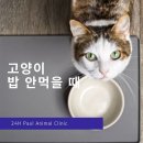 펫사랑동물병원 이미지