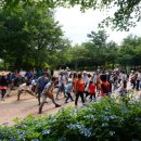 구엄초등학교 병설유치원 이미지