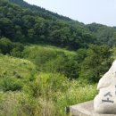 석지농장 이미지