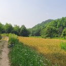 단강보건진료소 이미지