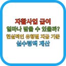 자활기업 고래의 꿈 | 자활사업 급여, 얼마나 받을 수 있을까? 현실적인 유형별 지급 기준 &amp; 실수령액 계산