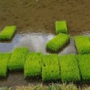 홍원바이오아그로 이미지