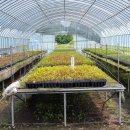 수림목장 이미지