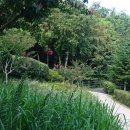 생태공원편의점 이미지